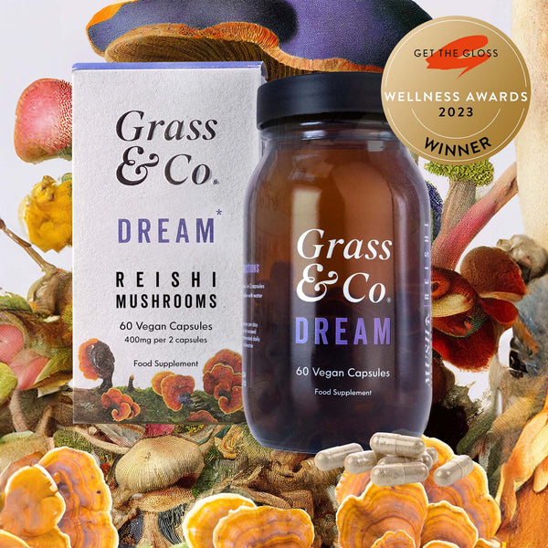 DREAM - Reishi Mushroom Supplement Capsules  with Magnesium + Sage for Sleep - Grass & Co.