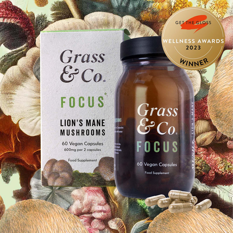 FOCUS - Lion’s Mane Mushroom Supplement Capsules with Ginseng + Omega3  for Brain Health - Grass & Co.