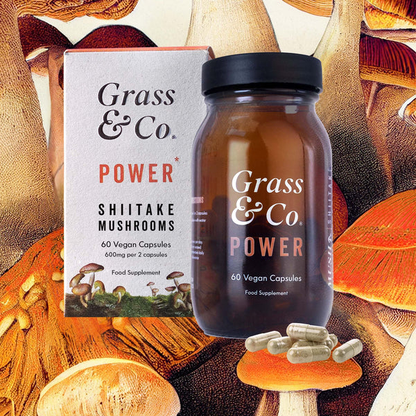 POWER - Shiitake Mushroom Supplement Capsules with Holy Basil + Iron for Energy - Grass & Co.