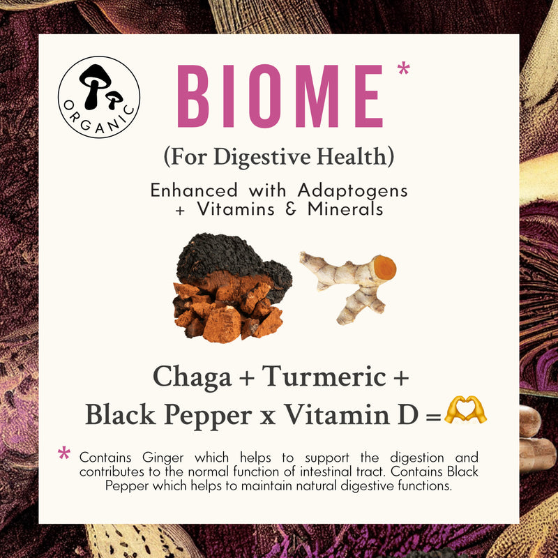 Adaptogens, vitamins, and minerals in Grass & Co.'s Chaga mushroom supplement capsules.