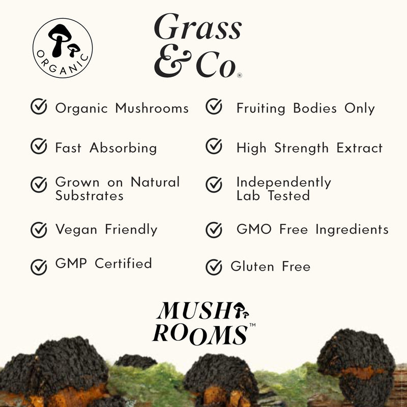 Grass & Co. BIOME (Chaga) Capsules - Grass & Co.