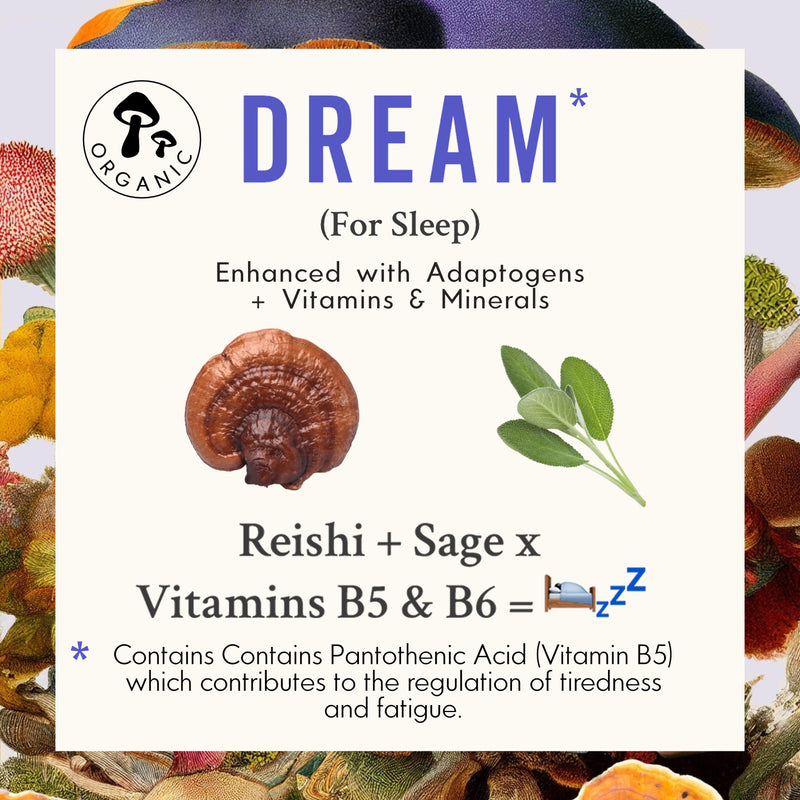 List of adaptogens, Vitamins, and minerals in Grass & Co.'s Reishi mushroom supplement capsules.