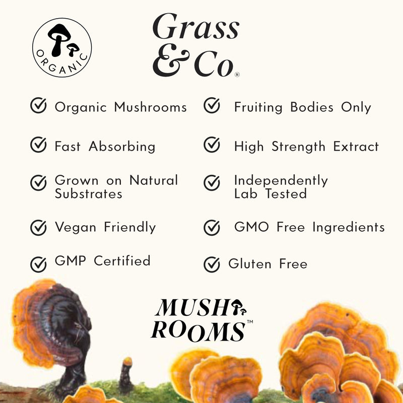 Grass & Co. DREAM (Reishi) Capsules - Grass & Co.