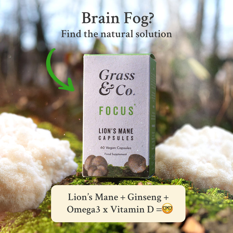 Grass & Co. Lion's Mane mushroom supplement in packings with a nature backdrop.
