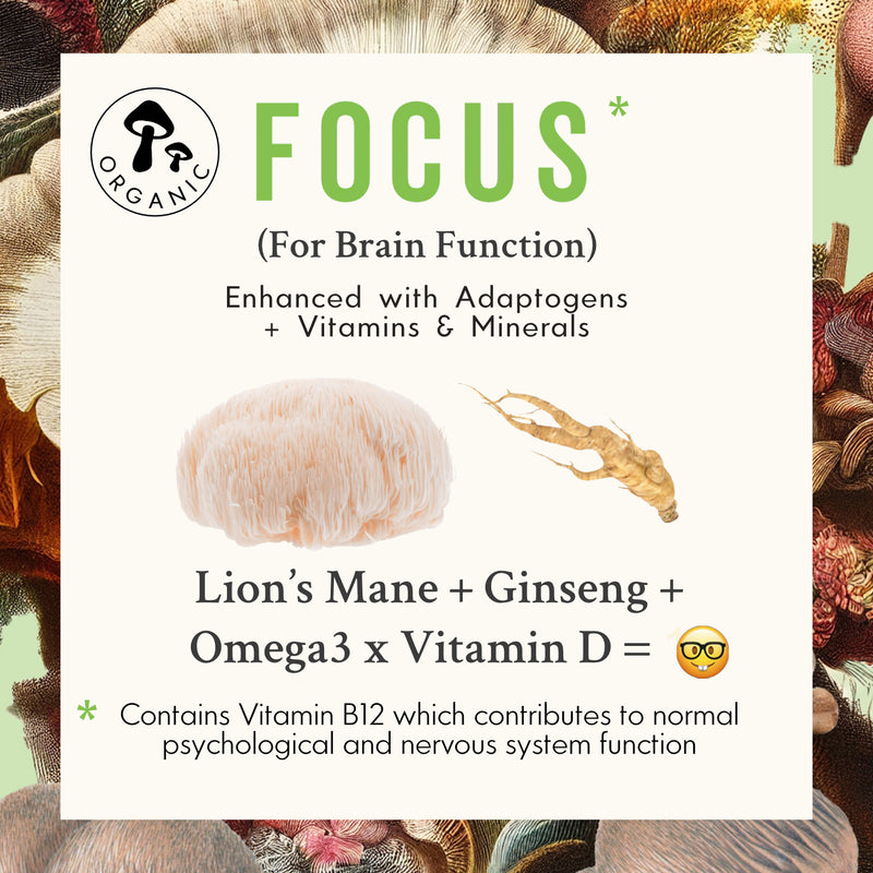 List of adaptogens, vitamins, and minerals in Grass & Co's Lion's Mane mushroom capsules.