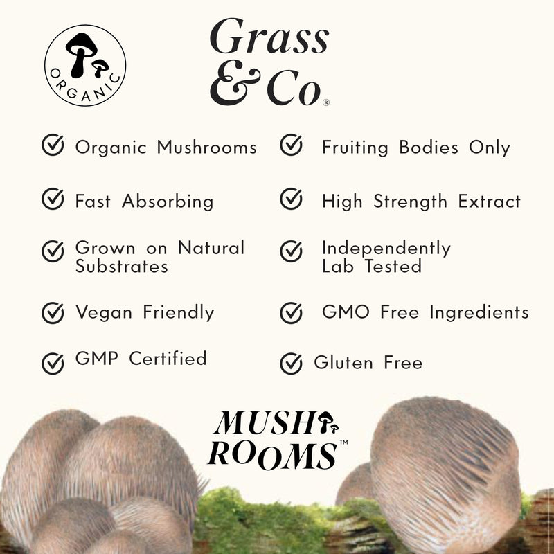 A list of the main attributes of Grass & Co's Lion's Mane mushroom supplement capsules.