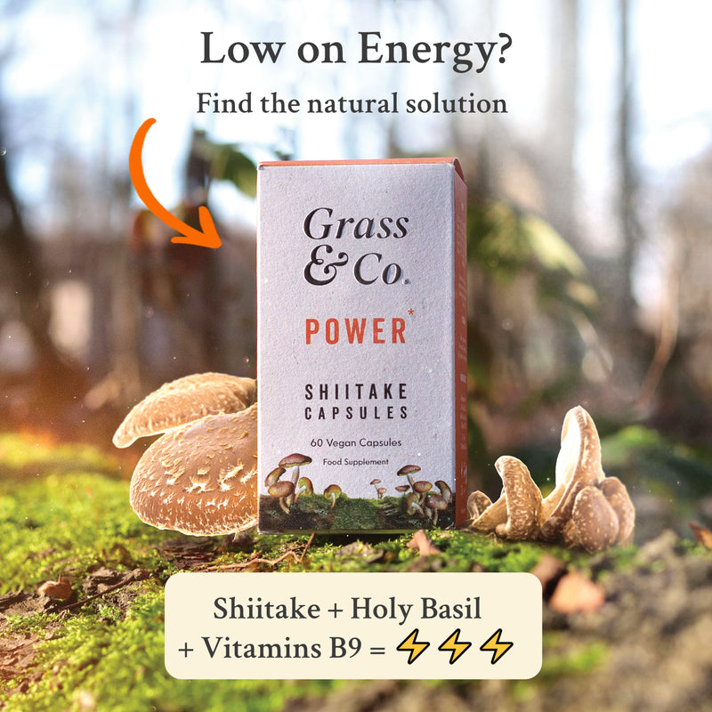 Packaging of Grass & Co.'s Shiitake mushroom supplement capsules for energy with nature as a backdrop.
