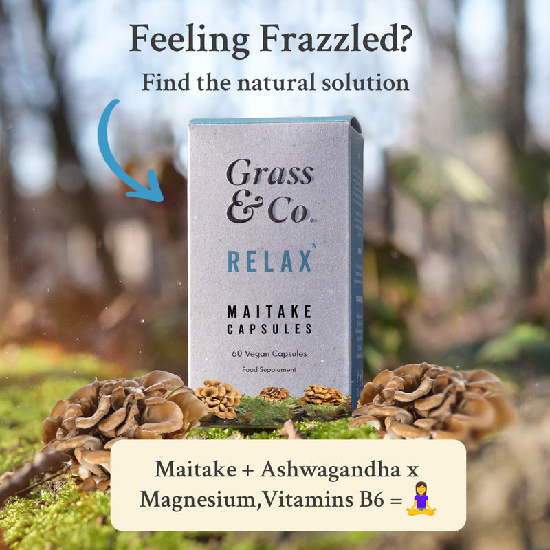 Packaging and bottle of Grass & Co.'s Maitake mushroom supplement capsules with nature as a backdrop