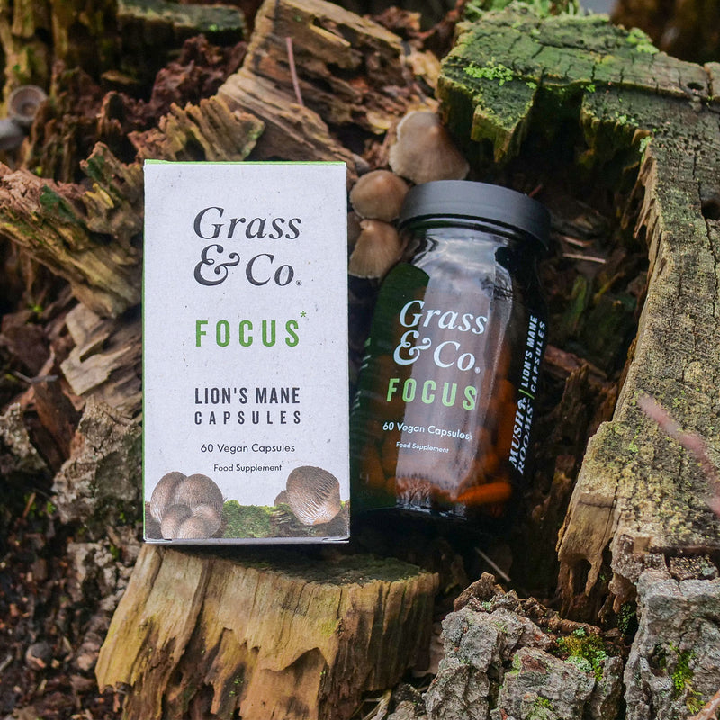 Bottle and package of Grass & Co.'s Lion's Mane mushroom supplement.